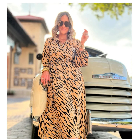 ENTRO Camel Animal Stripe ButtonDown Collared Midi Dress. Size small - Picture 4 of 16